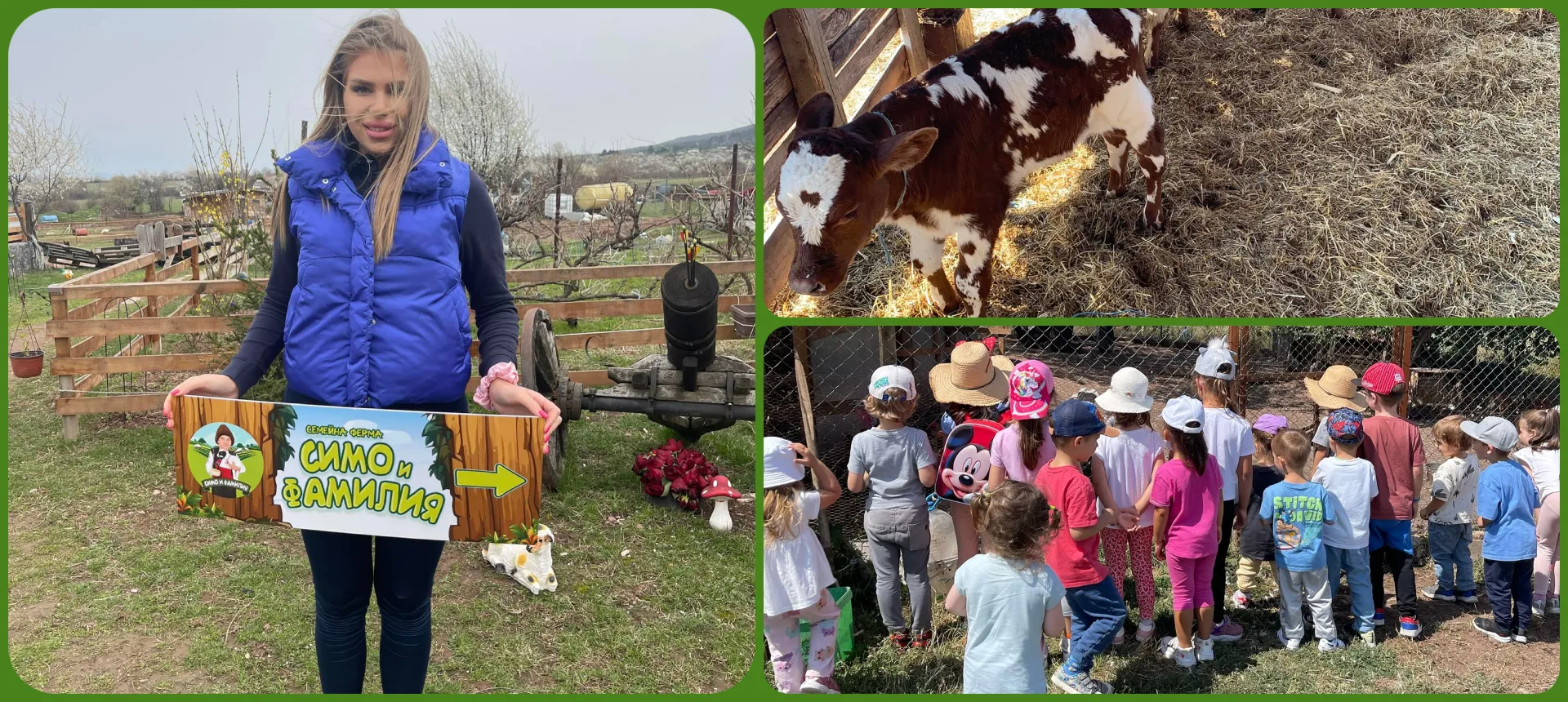 Simo i familia farm